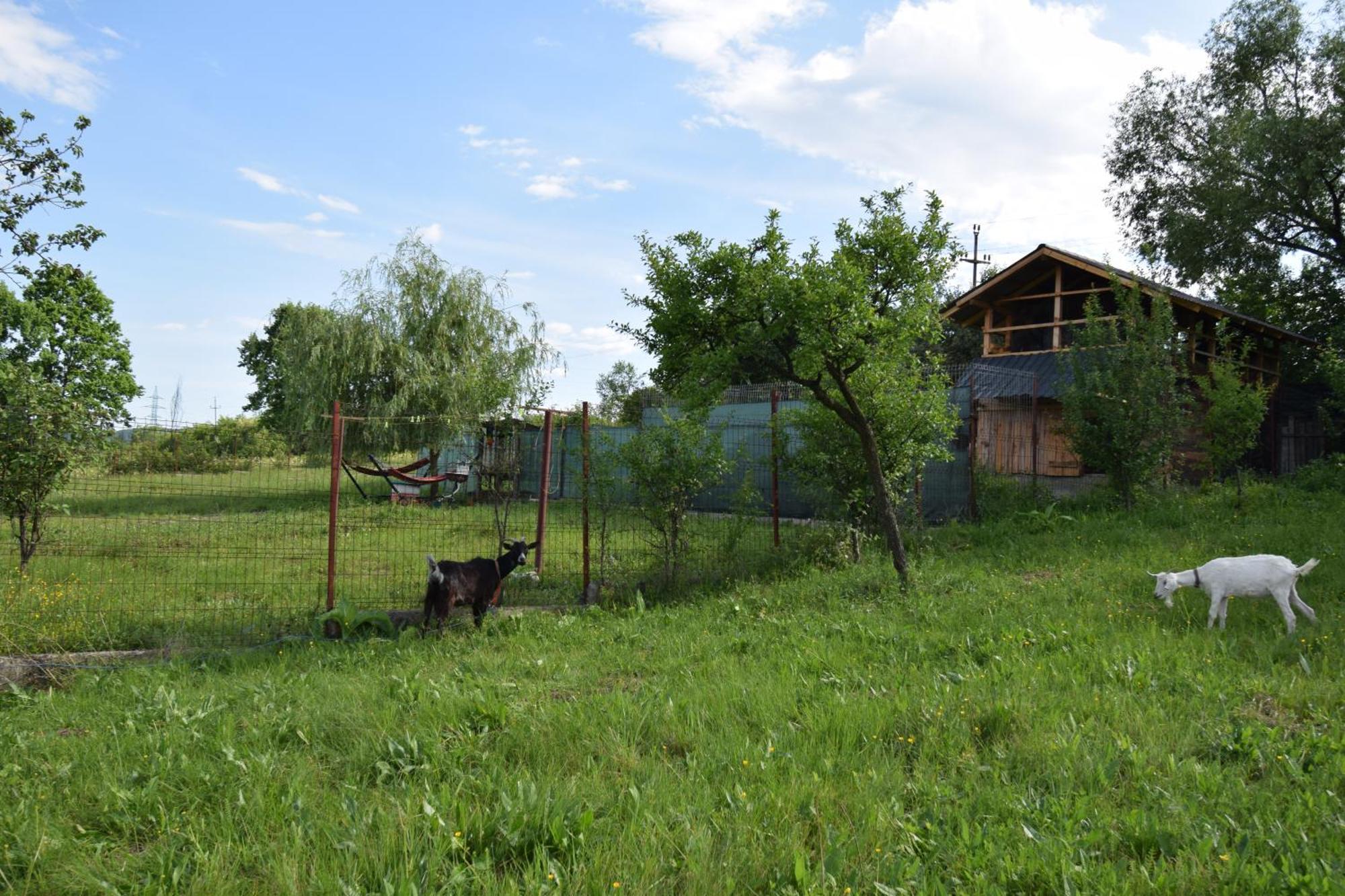 La Radacini Horezu Exterior foto